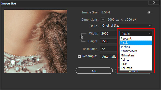 Resize Photos Using the Image Size Tool