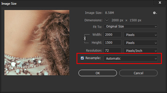 Resize Photos Using the Image Size Tool