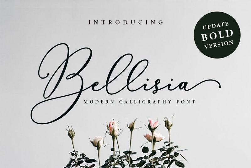 bellisia script + bold version wedding font