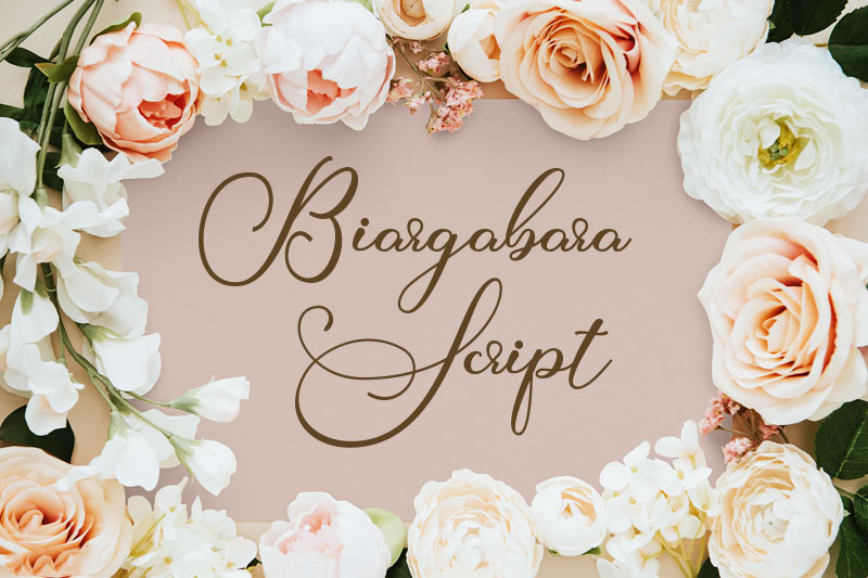 biargabara script wedding font