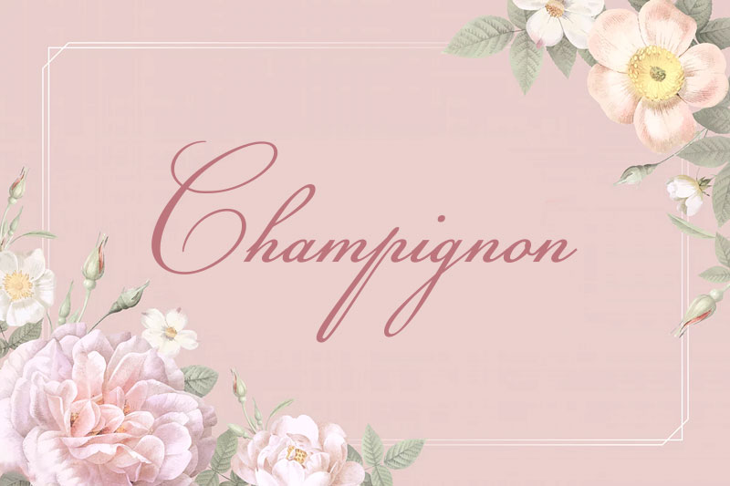 champignon wedding font