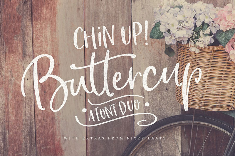 chin up buttercup! farmhouse font