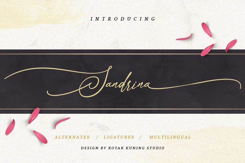 sandrina wedding font