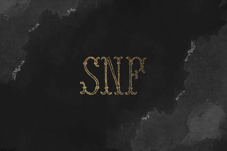 90+ Monogram Fonts (FREE / Premium) 2021 Hyperpix