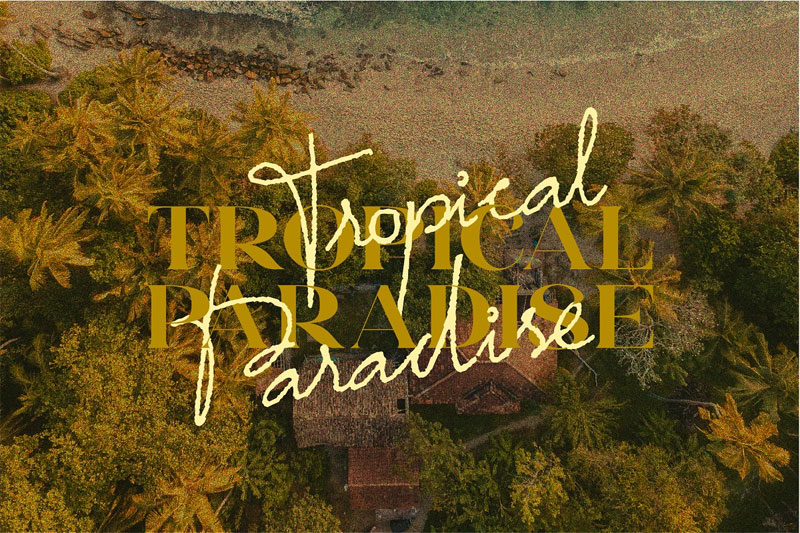 Tropical Paradise – Font Duo farmhouse font