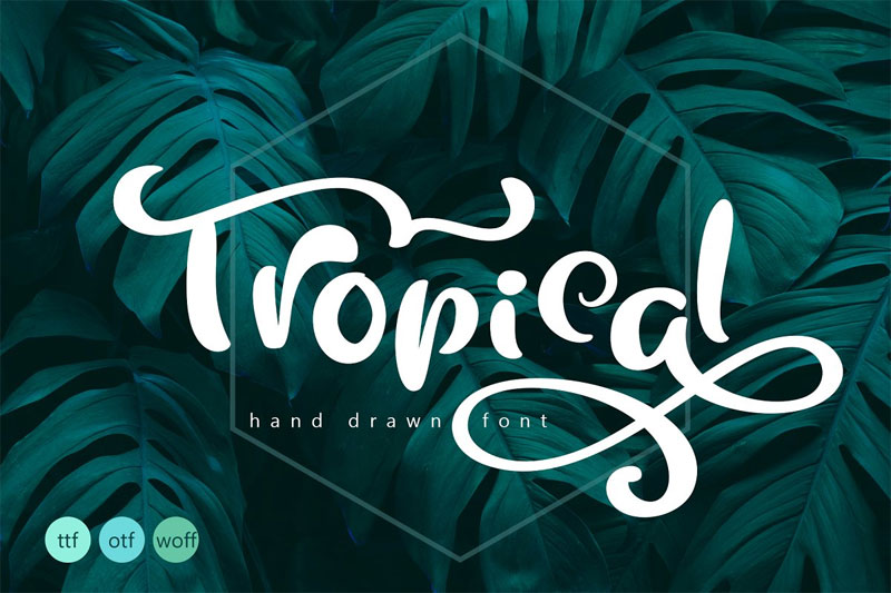 tropical summer summer and beach font