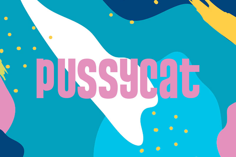 pussycat funky font
