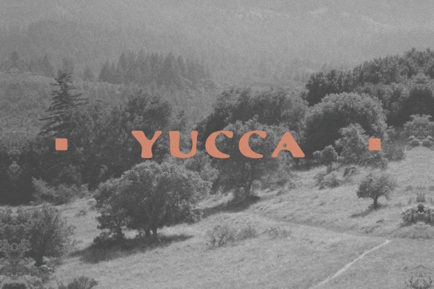 Yucca Font
