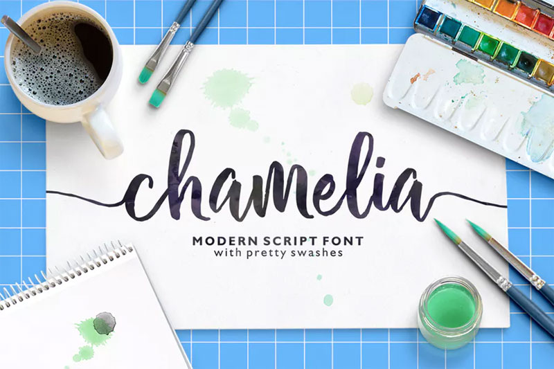 chamelia script embroidery font