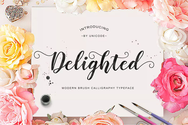delighted script embroidery font