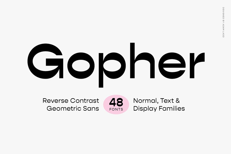 gopher complete space font