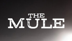 the mule logo font free download