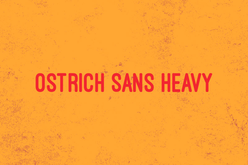 ostrich sans heavy rounded font