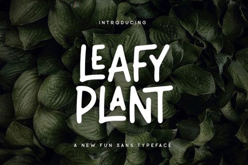 85+ Best Leaf Fonts (FREE / Premium) 2024 | Hyperpix