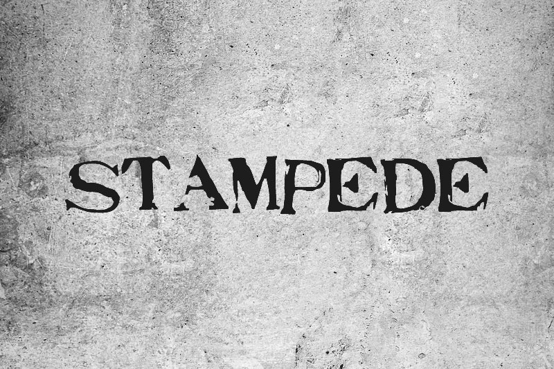 stampede stamp font