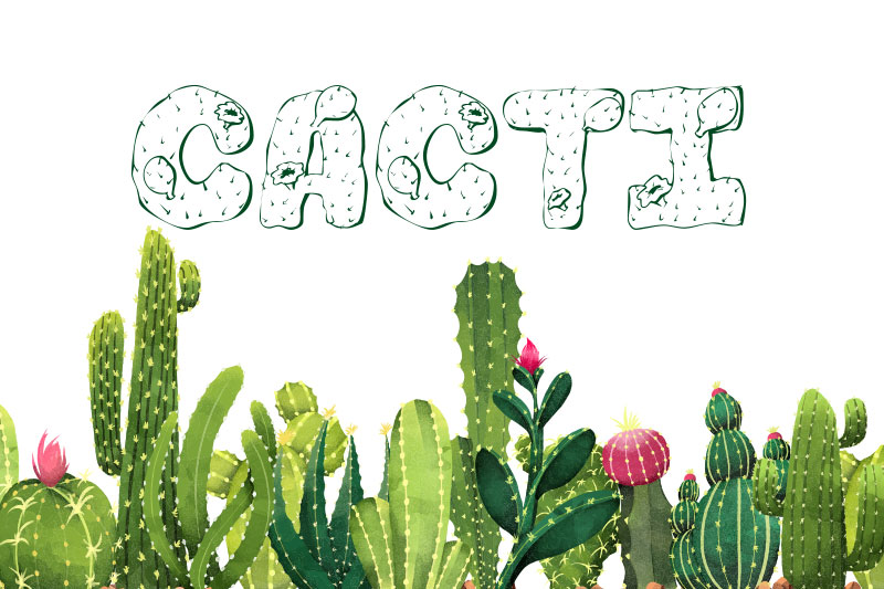 101! Cacti Font