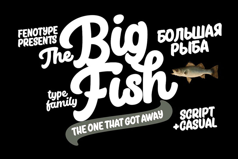 25+ Best Fishing Fonts (FREE / Premium) 2024