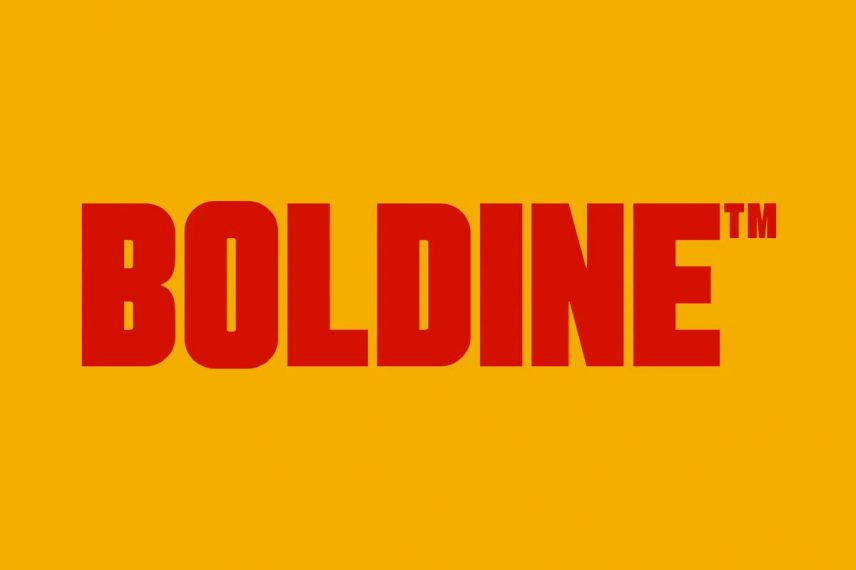 Boldine urban bold sans font