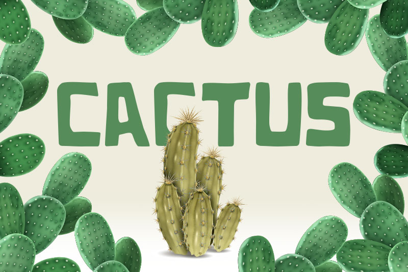 cactus cactus font