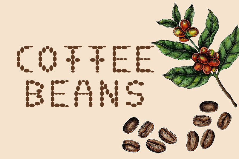 coffee beans coffee font
