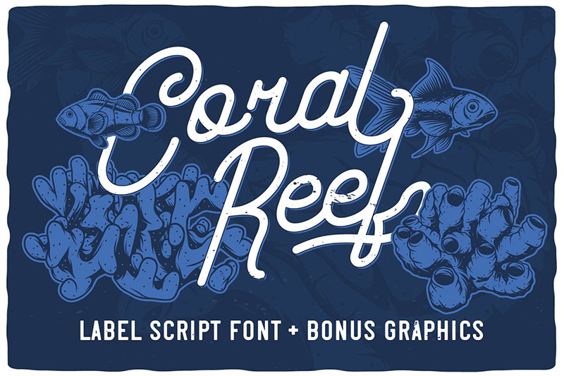 coral reef script font fishing font