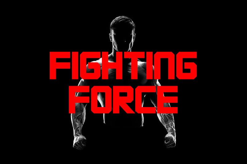 fighting force wrestling font