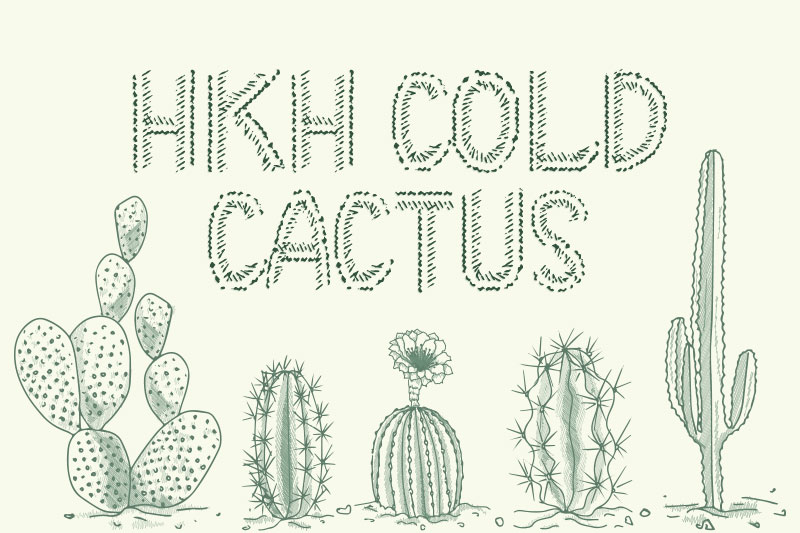 hkh cold cactus cactus font