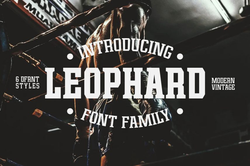 Leophard Boxing Font Family