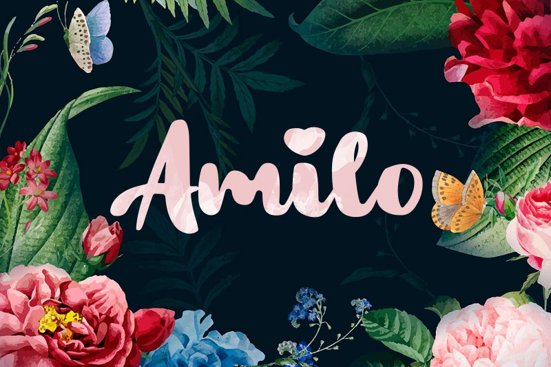 amilo watercolor font