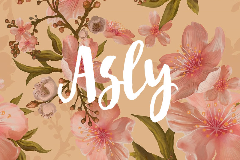 asly brush watercolor font