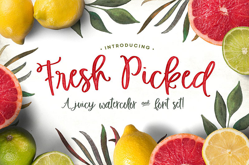 fresh picked watercolor kit watercolor font