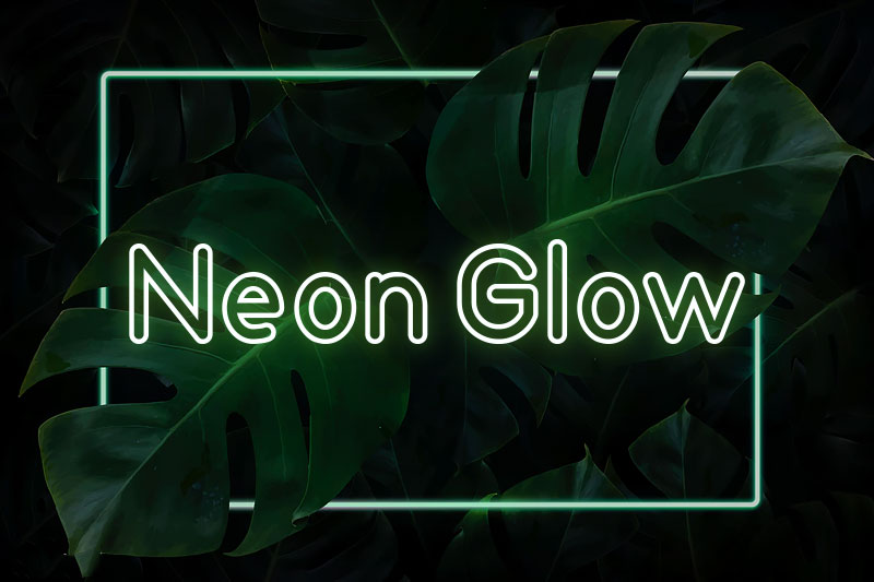 neon glow neon font