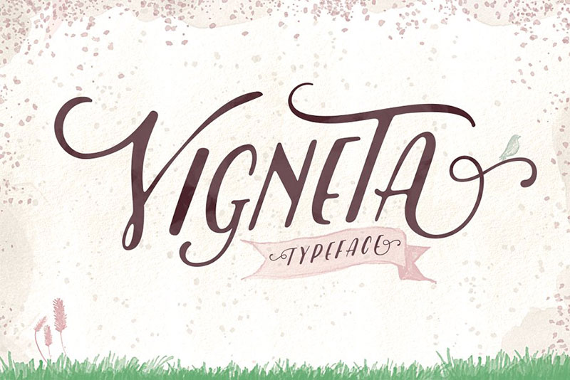 vigneta typeface watercolor font