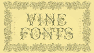 Best Free and Premium Vine Fonts