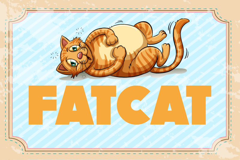 fatcat fat font