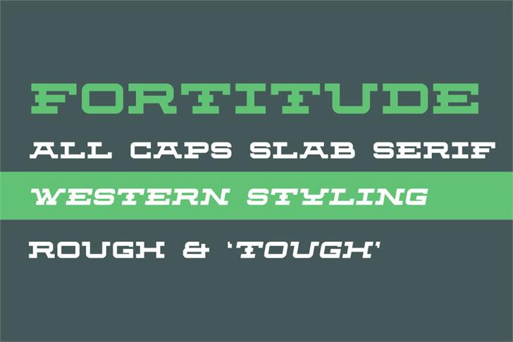 fortitude jersey font