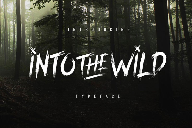 into the wild typeface camping and hiking font