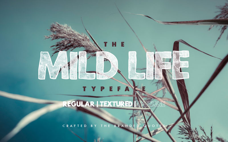 mild life camping and hiking font