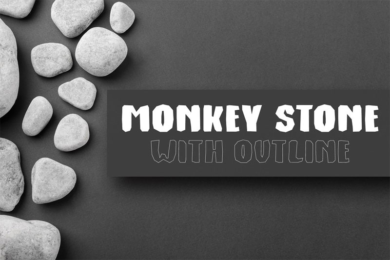 monkey stone stone font