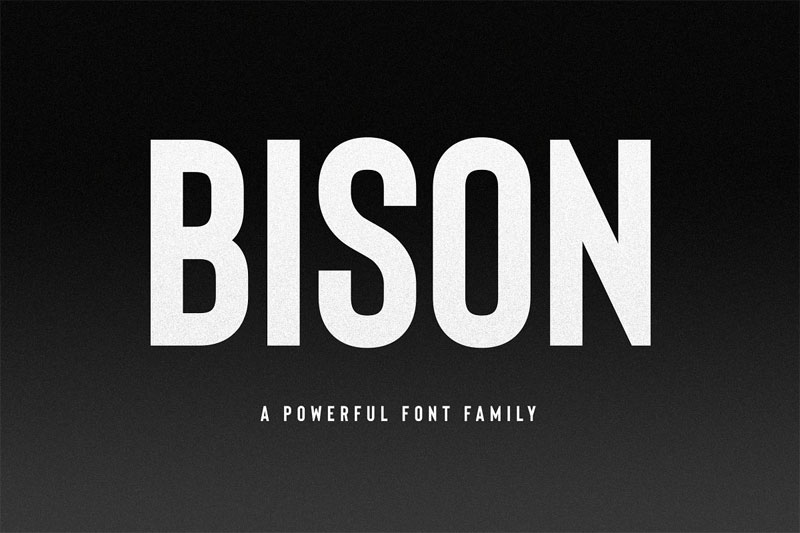 bison a powerful sans serif bold font