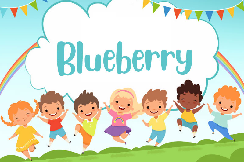blueberry kindergarten font