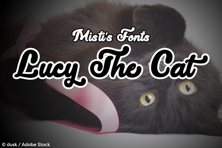 lucy the cat marker font