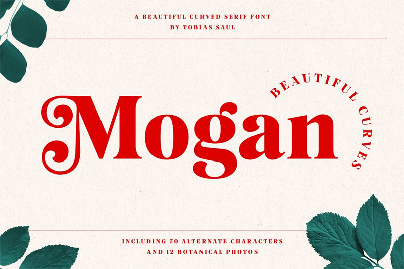 mogan thank you font