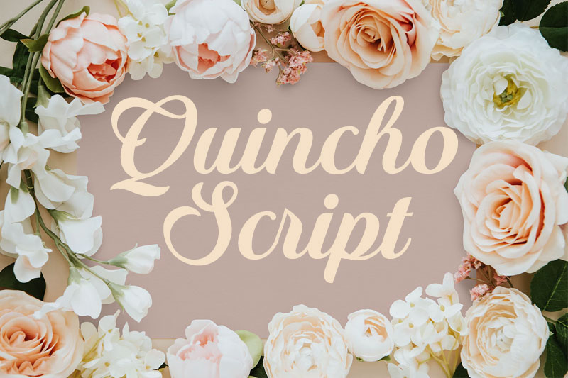 quincho script thank you font