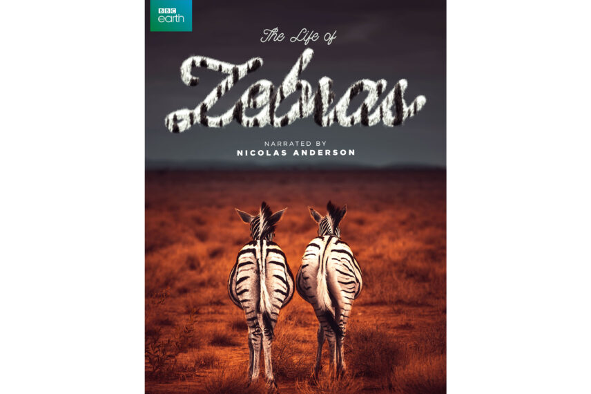 realistic fur photoshop styles actions generators