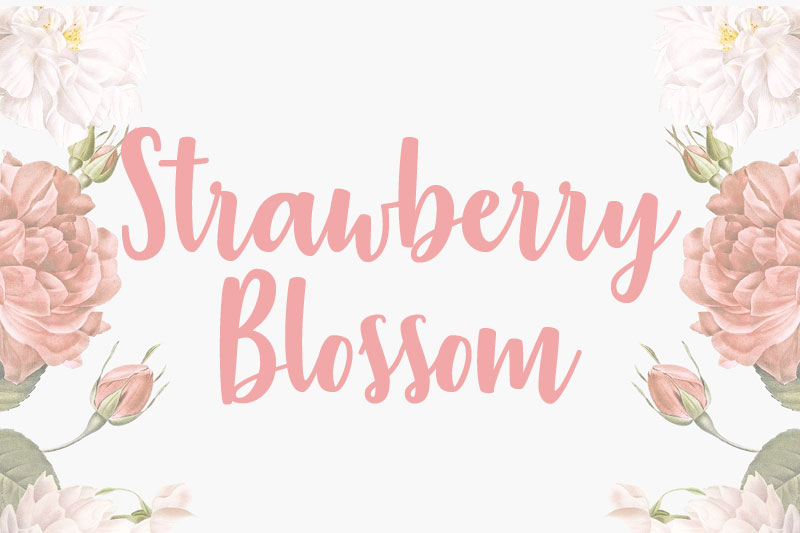 strawberry blossomv thank you font