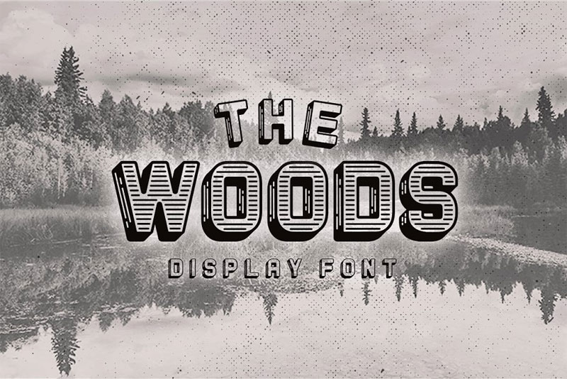 the woods display wood font