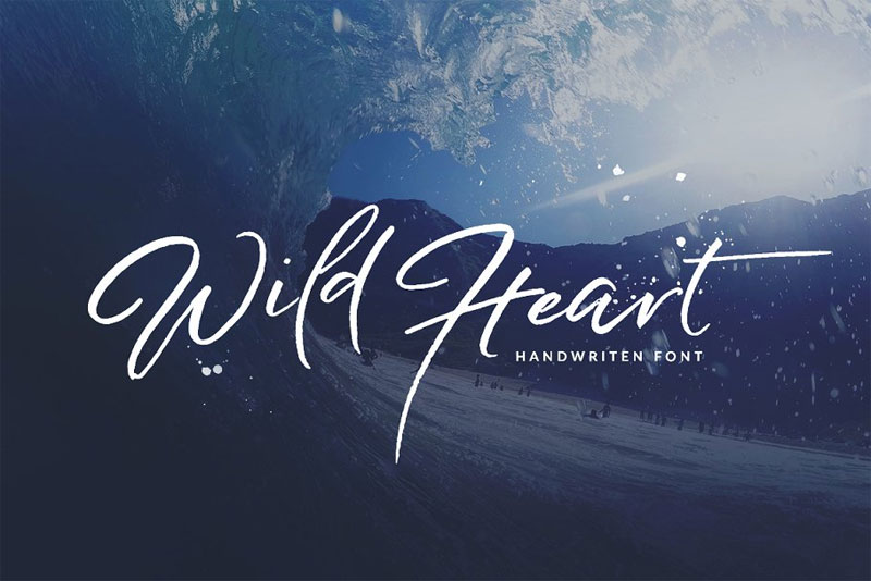 wild heart brush marker font