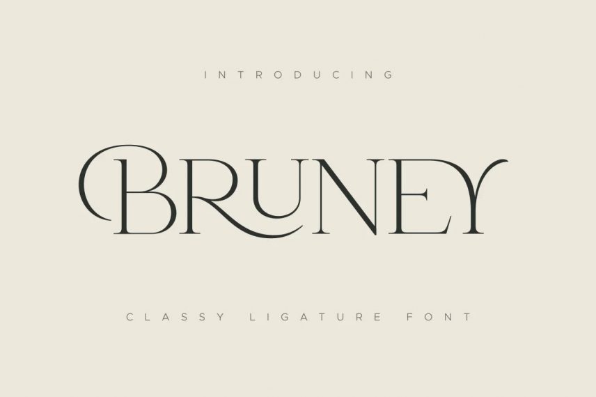 Bruney Classy Ligature Font