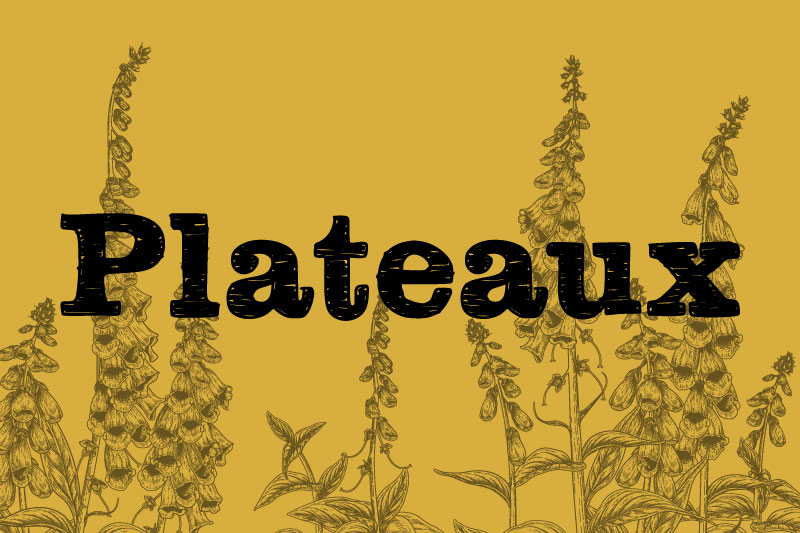 plateaux sketch font